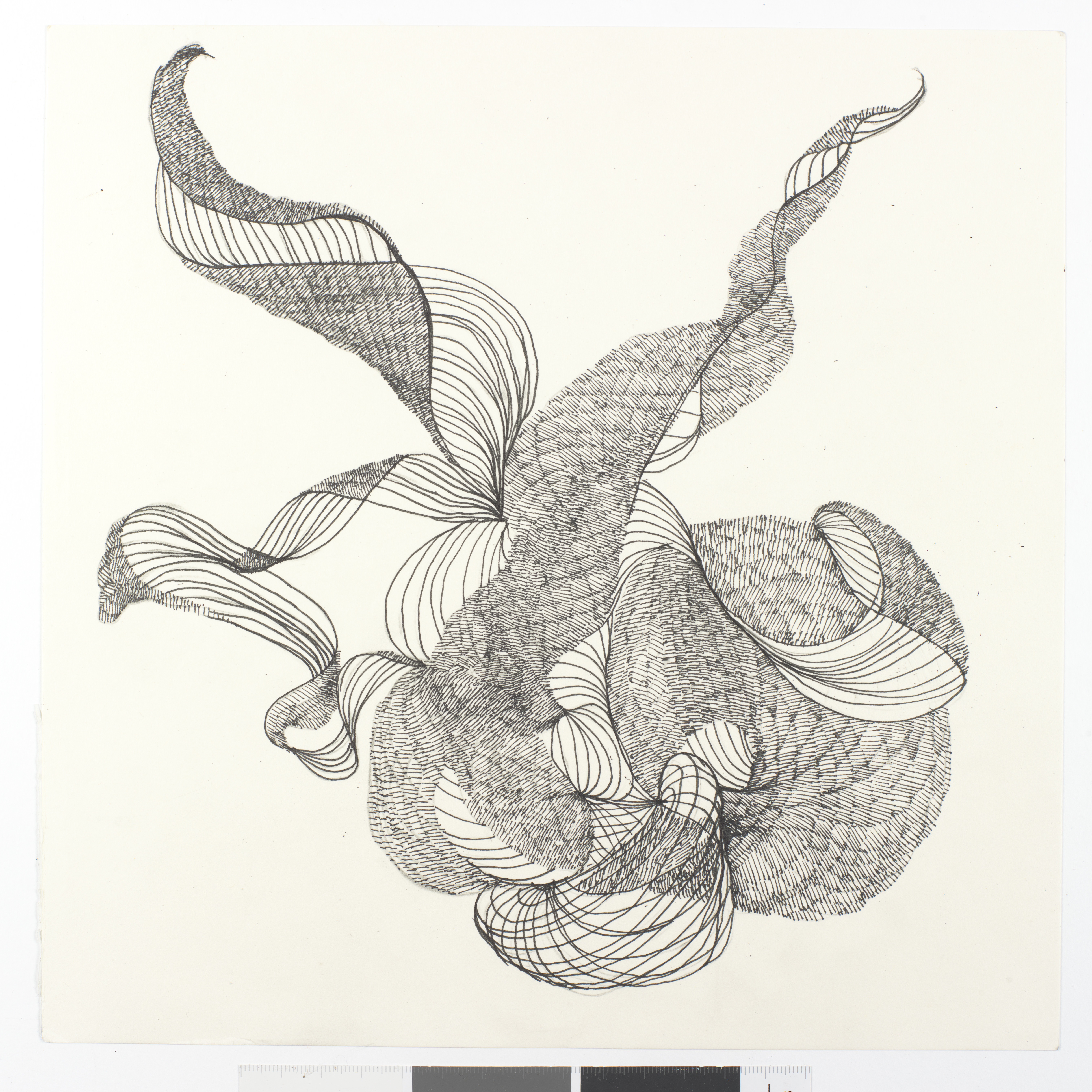 KM_003 (12-4-2015)