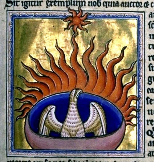 6. Phoenix from Aberdeen Bestiary.jpg